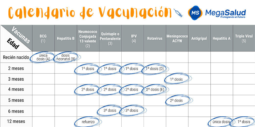 Las 17 Vacunas Que Necesita Tu Bebe Antes De Cumplir 1 Ano