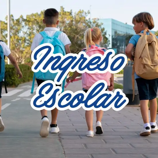 Ingreso escolar primario y secundario